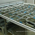 IQF Impingement Tunnel Freezer For Seafoods